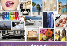 TV SHOW: HOLLYWOOD TREND REPORT: LUXURY LIFESTYLE TV COVERS LUXURY BUSINESS LEADERS